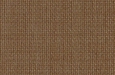 light-brown-115.jpg
