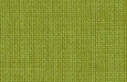 lime-57.jpg