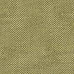 monfort-olive.jpg