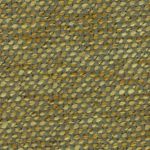 lime-52227.jpg