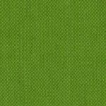 groen-55.jpg