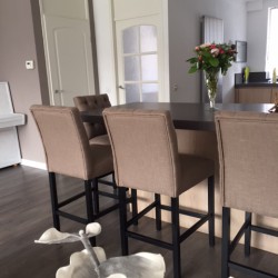 Landelijke gecapitonneerde barkruk