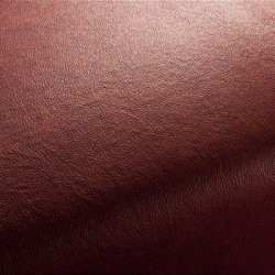 CA1038-010 CA1038-010