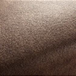 CA1038-021 CA1038-021