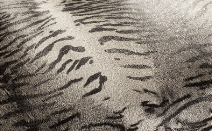 Meubelstof Wild Animal Meubelstof Wild Animal