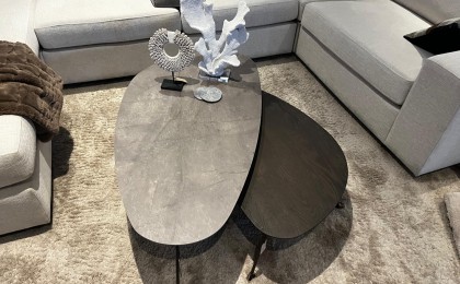 Organische salontafel set